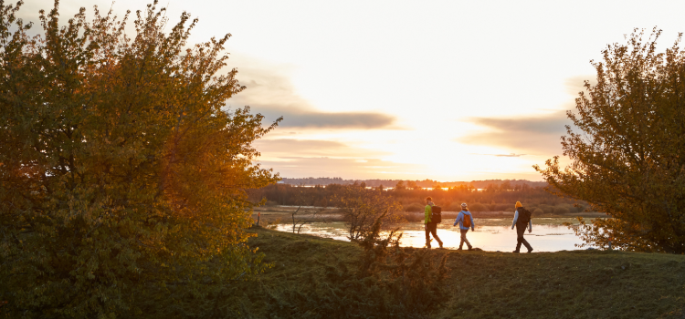 Vandrare vid Hornborgasjön