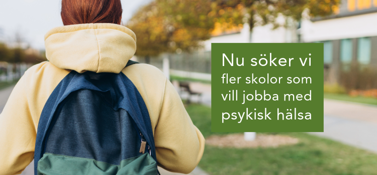 Vill din verksamhet prova lärverktyget Det syns inte?