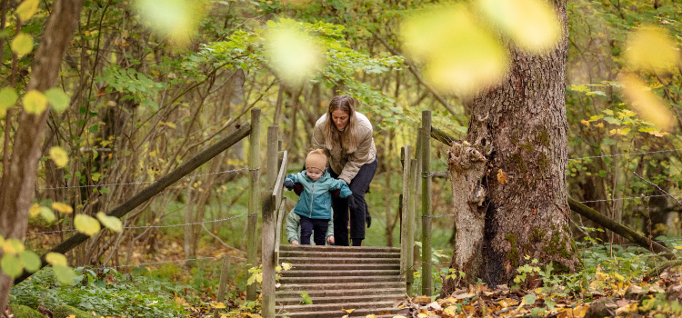 Kvinna hjälper barn över en spång i skogen